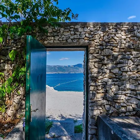 Neven Trogir